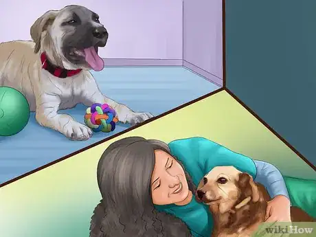 Image titled Teach Your Dog "On By" Step 5